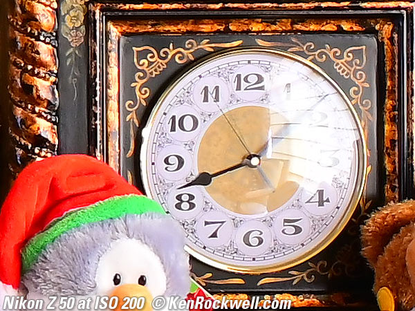 Nikon Z50 High ISO Performance Sample Image