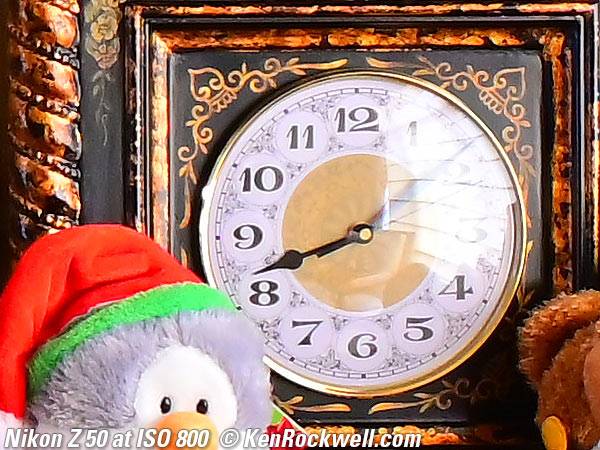 Nikon Z50 High ISO Performance Sample Image