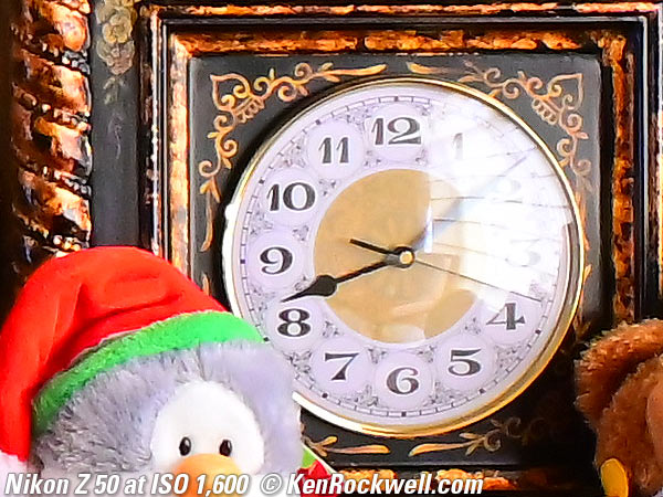 Nikon Z50 High ISO Performance Sample Image