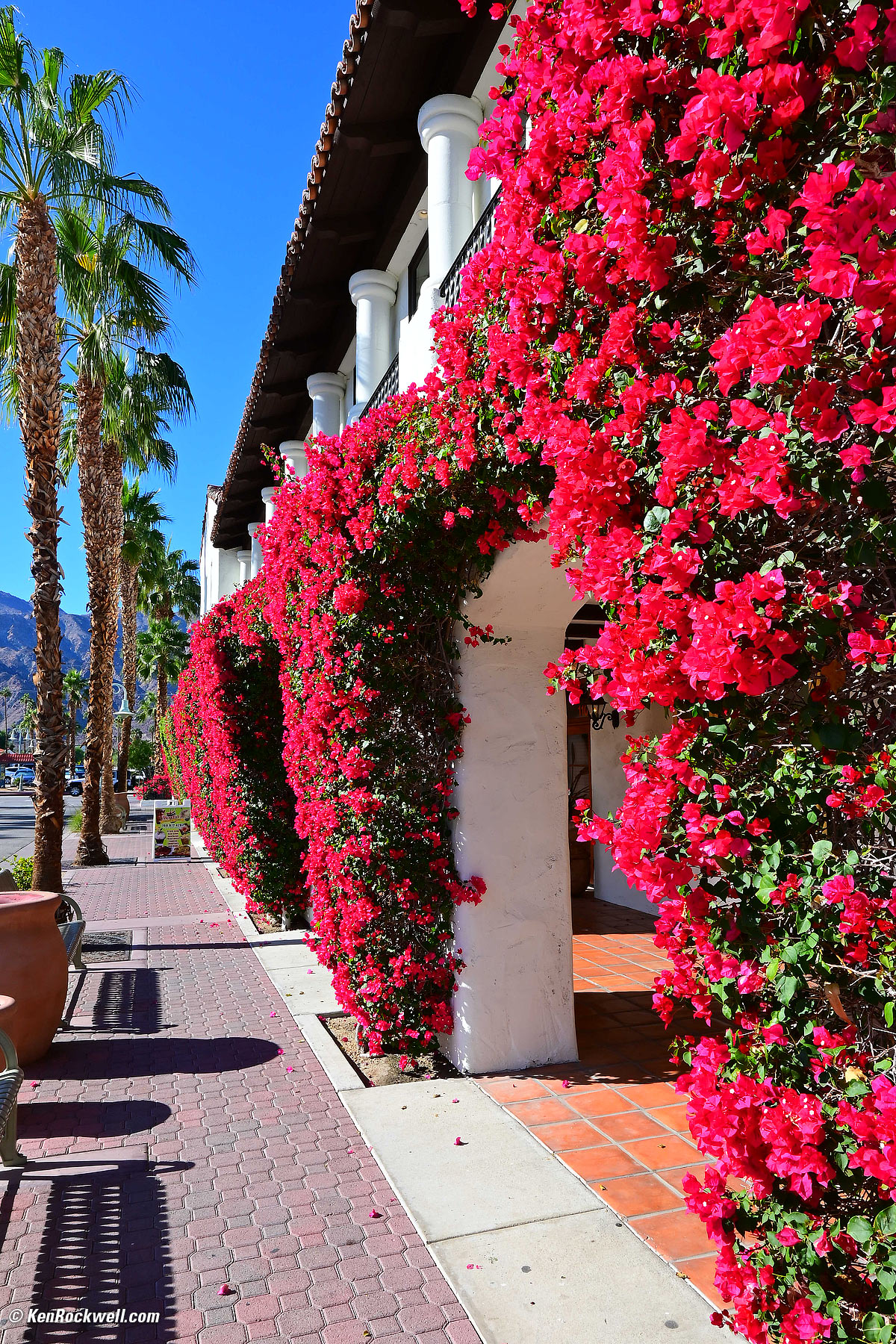 Walkway with bougainvillea, Old Town La Quinta