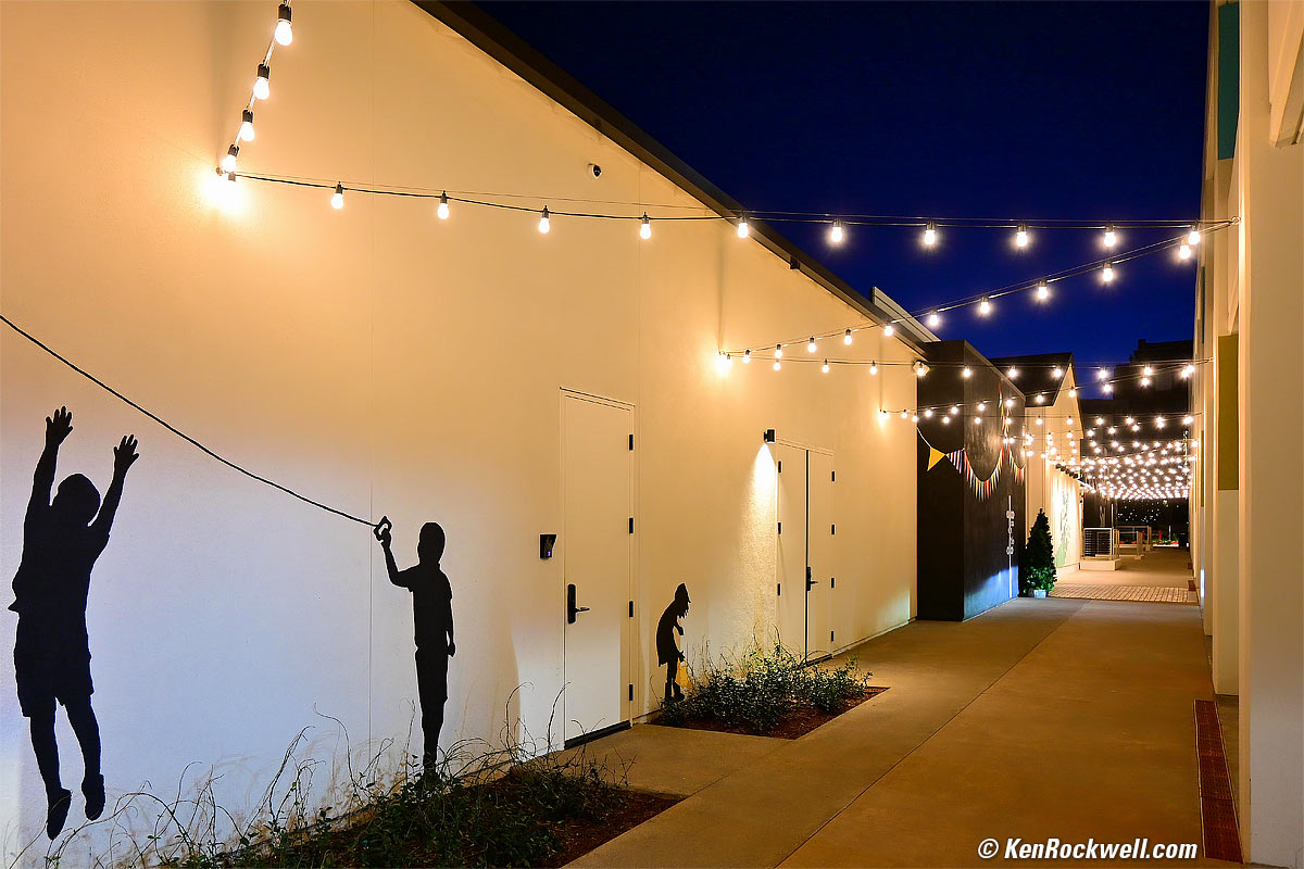 Nikon Z50 Sample Image