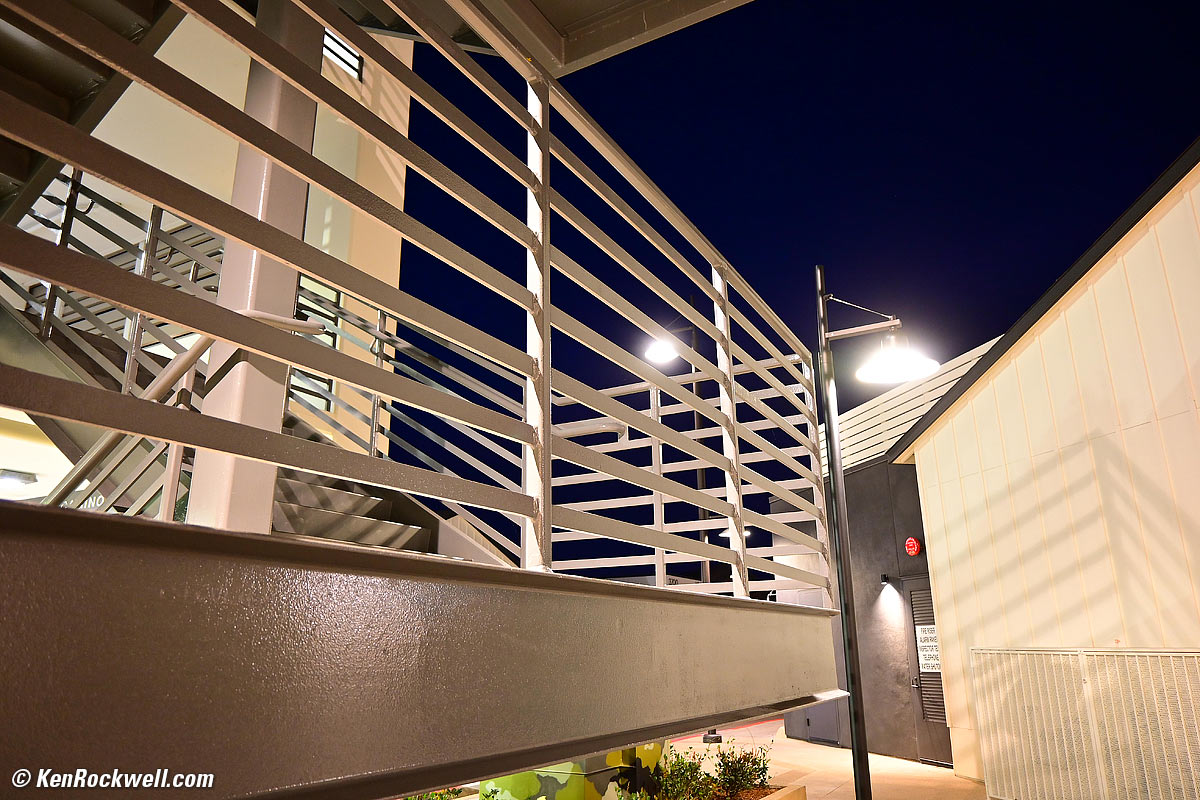 Nikon Z50 Sample Image