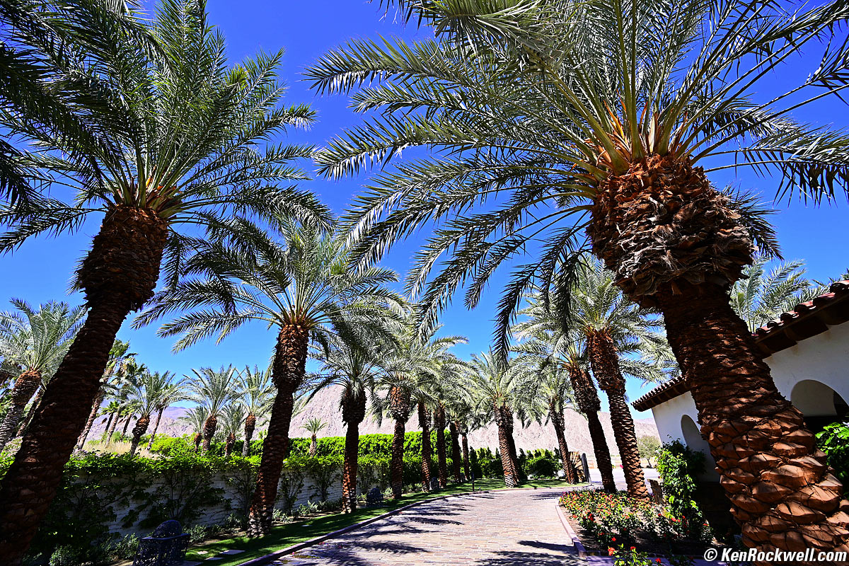 Nikon Z7 and 14-30mm  sharpness