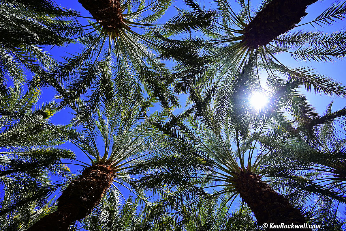 Nikon Z7 and 14-30mm  sharpness