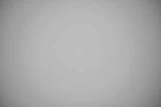 Nikon Z 24-70mm f/2.8 Falloff