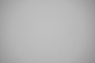 Nikon Z 24-70mm f/2.8 Falloff