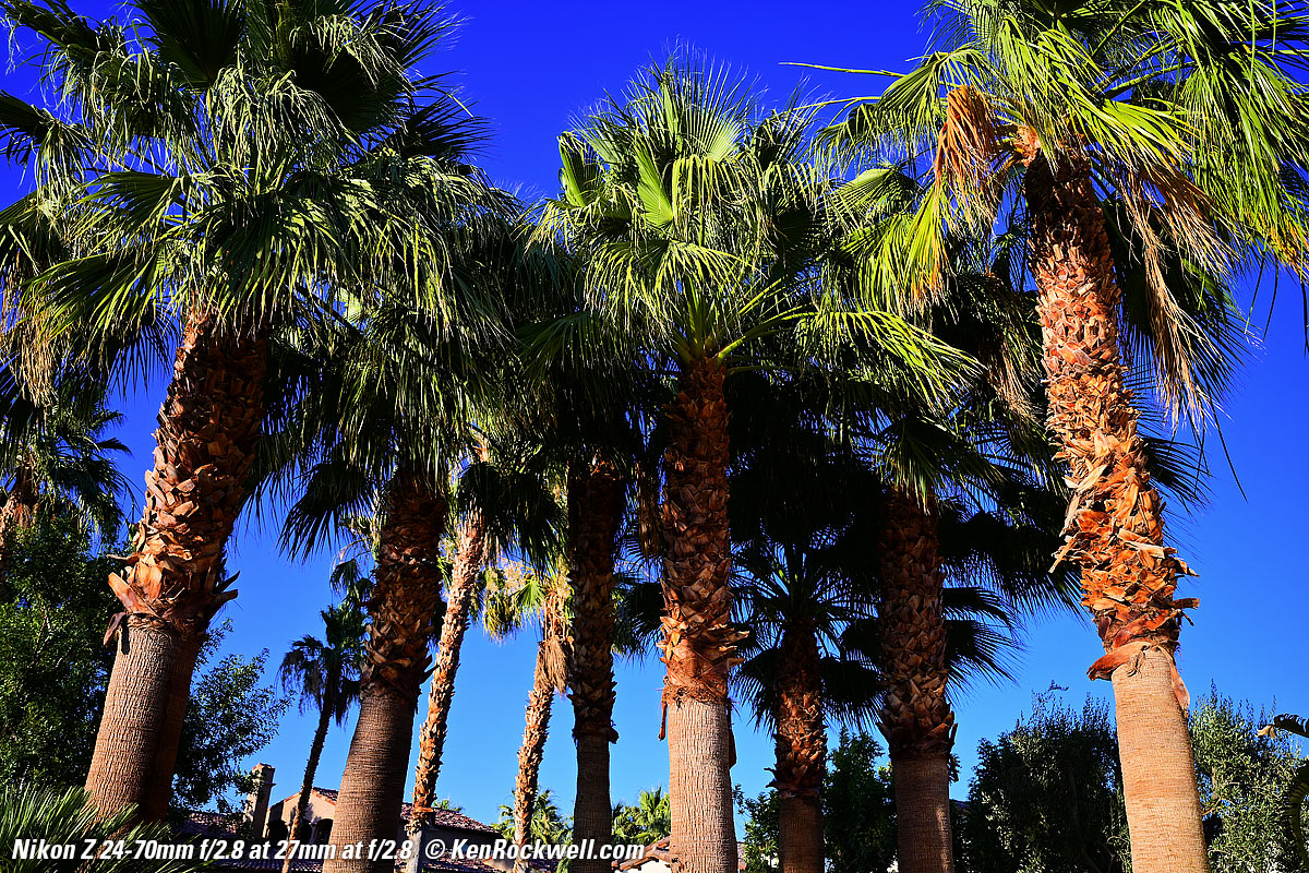 Nikon Z 24-70mm f/2.8 sharpness