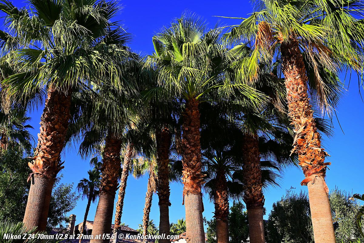 Nikon Z 24-70mm f/2.8 sharpness