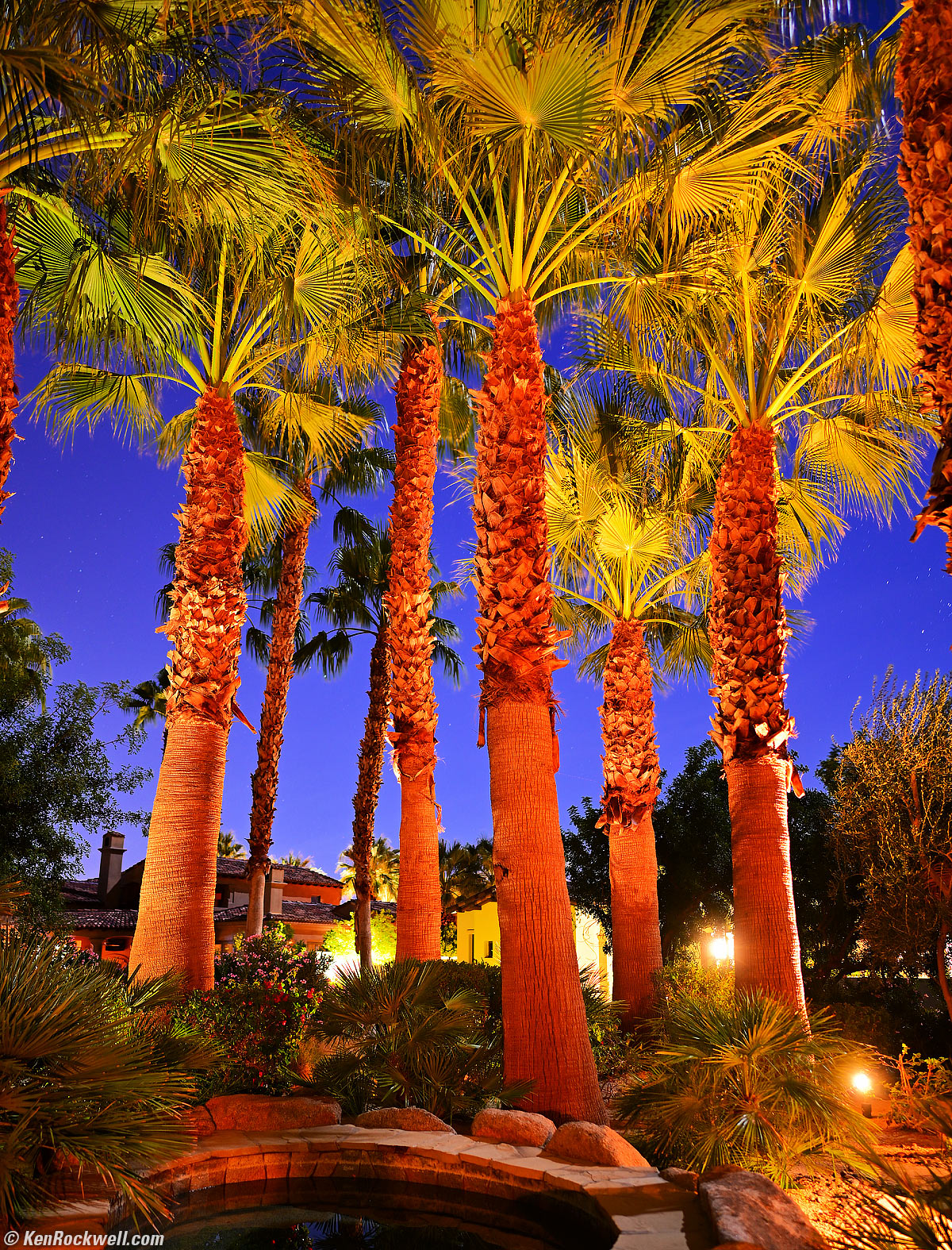 Nikon Z 24mm f/1.8 Sample image file