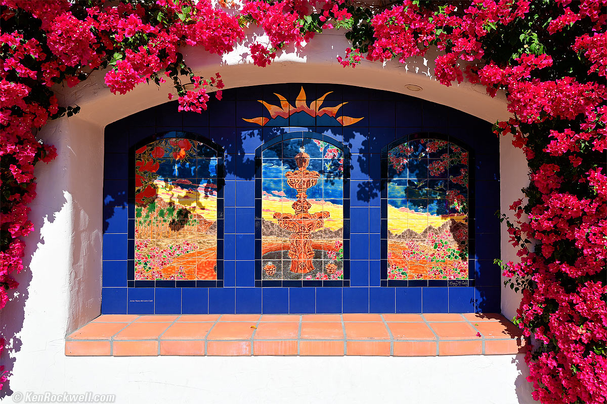 Nikon Z 24mm f/1.8 Sample image file