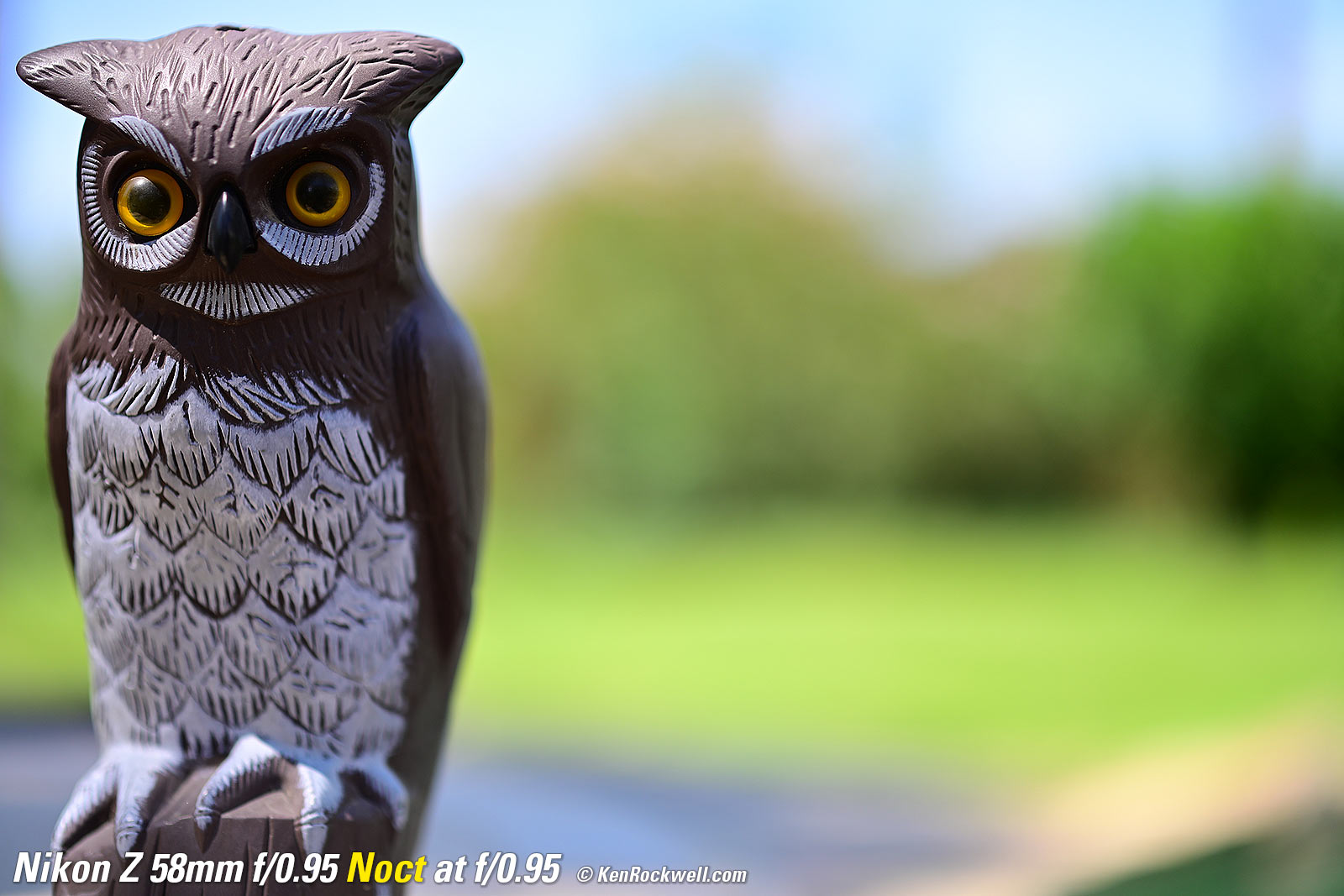 Nikon Z 58mm f/0.95 Noct Bokeh