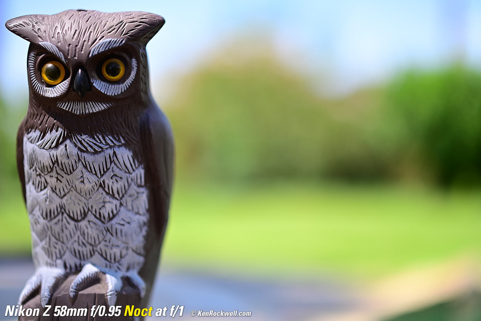 Nikon Z 58mm f/0.95 Noct Bokeh