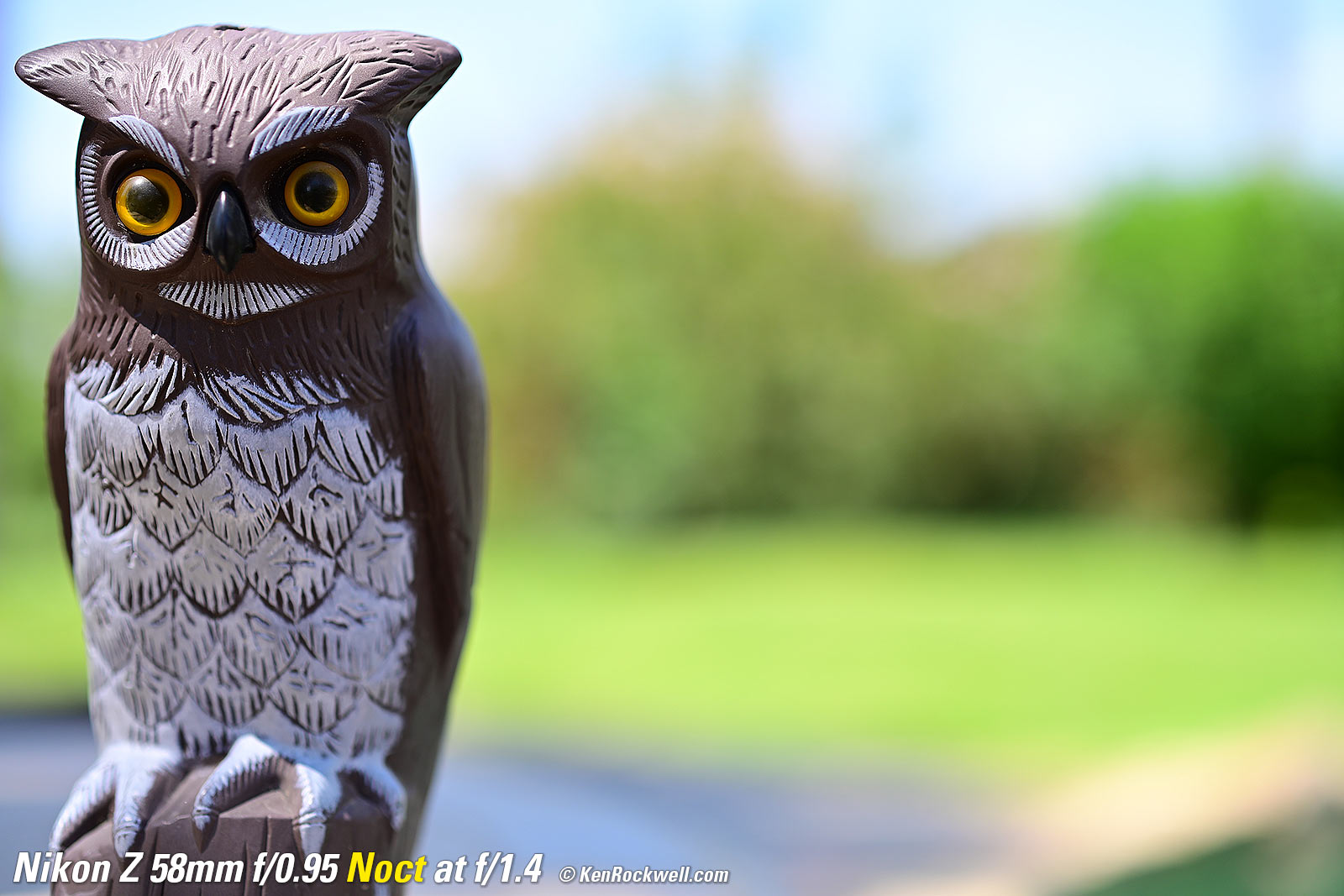 Nikon Z 58mm f/0.95 Noct Bokeh