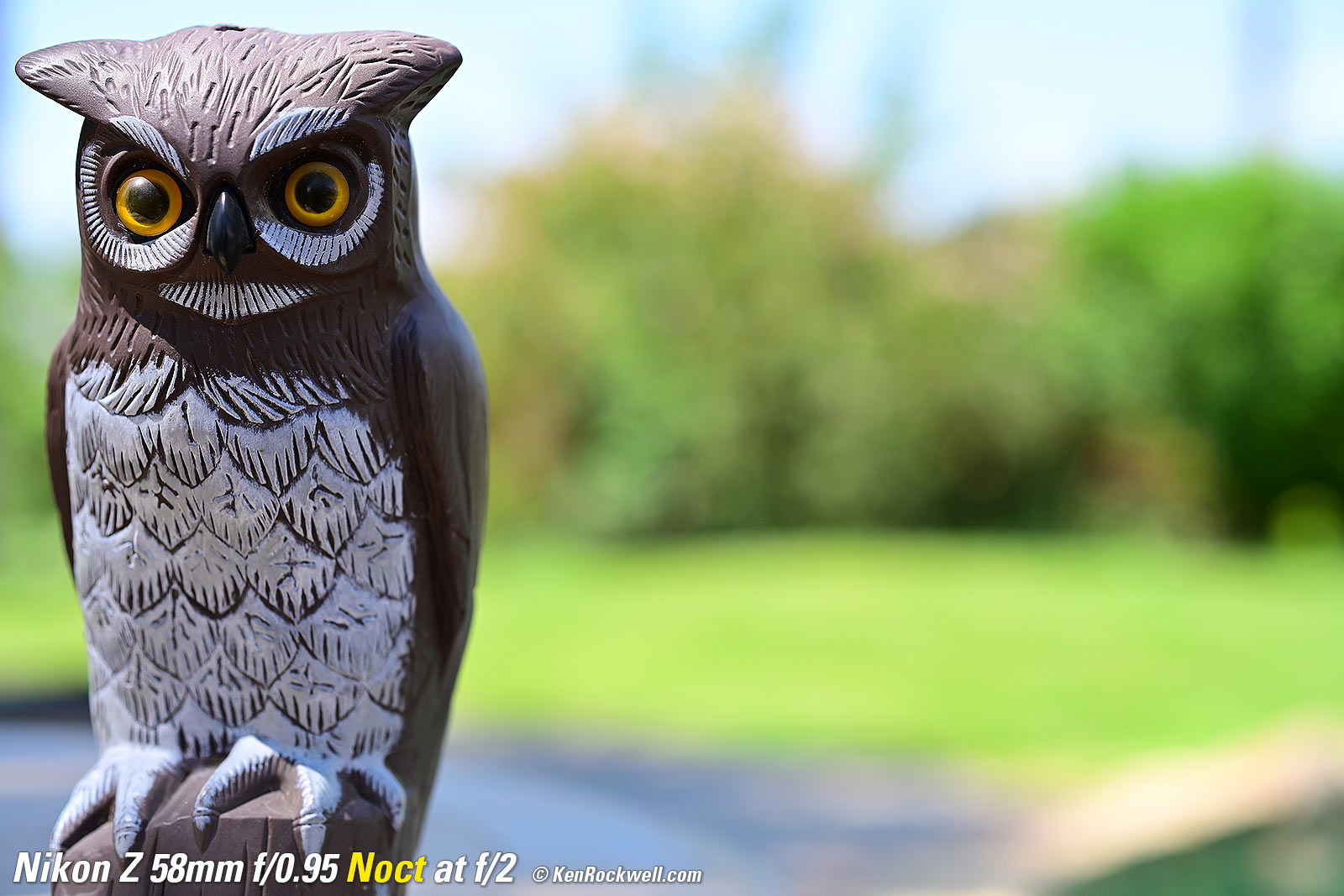 Nikon Z 58mm f/0.95 Noct Bokeh