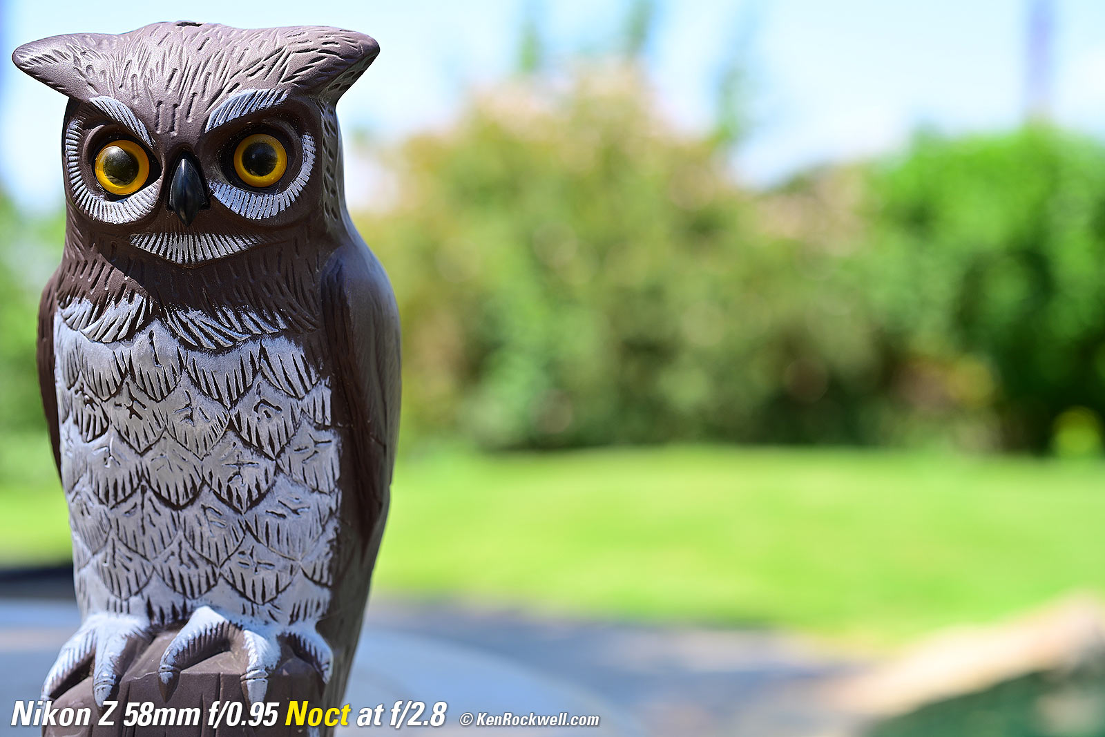 Nikon Z 58mm f/0.95 Noct Bokeh