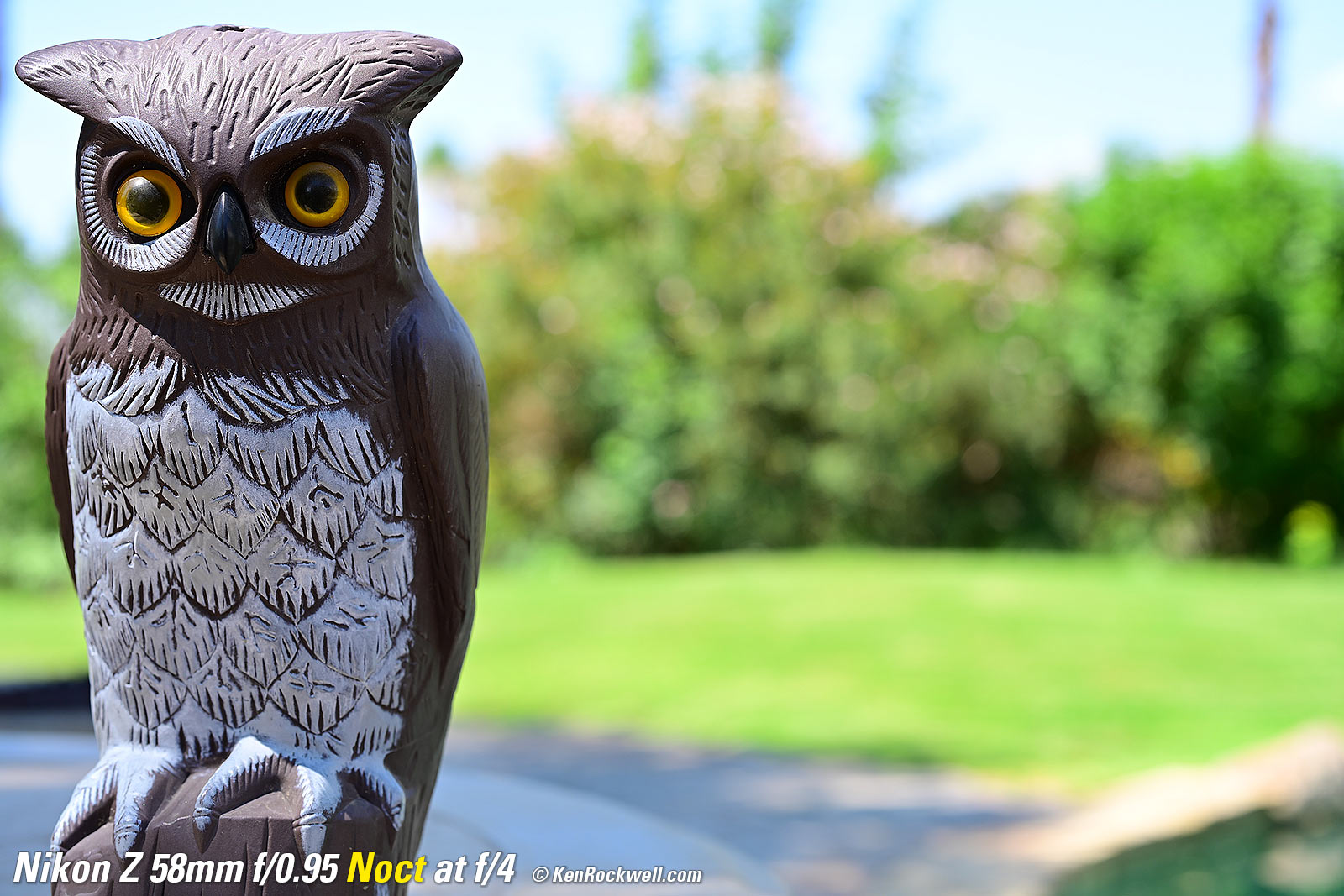 Nikon Z 58mm f/0.95 Noct Bokeh