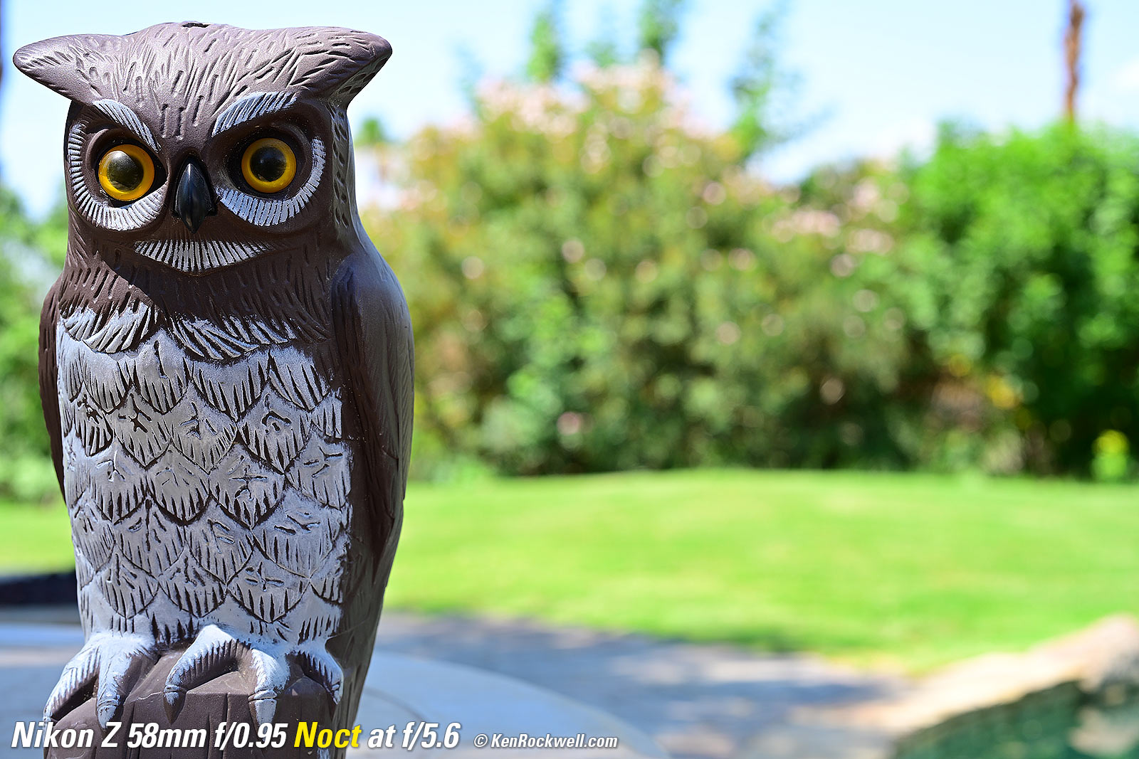 Nikon Z 58mm f/0.95 Noct Bokeh