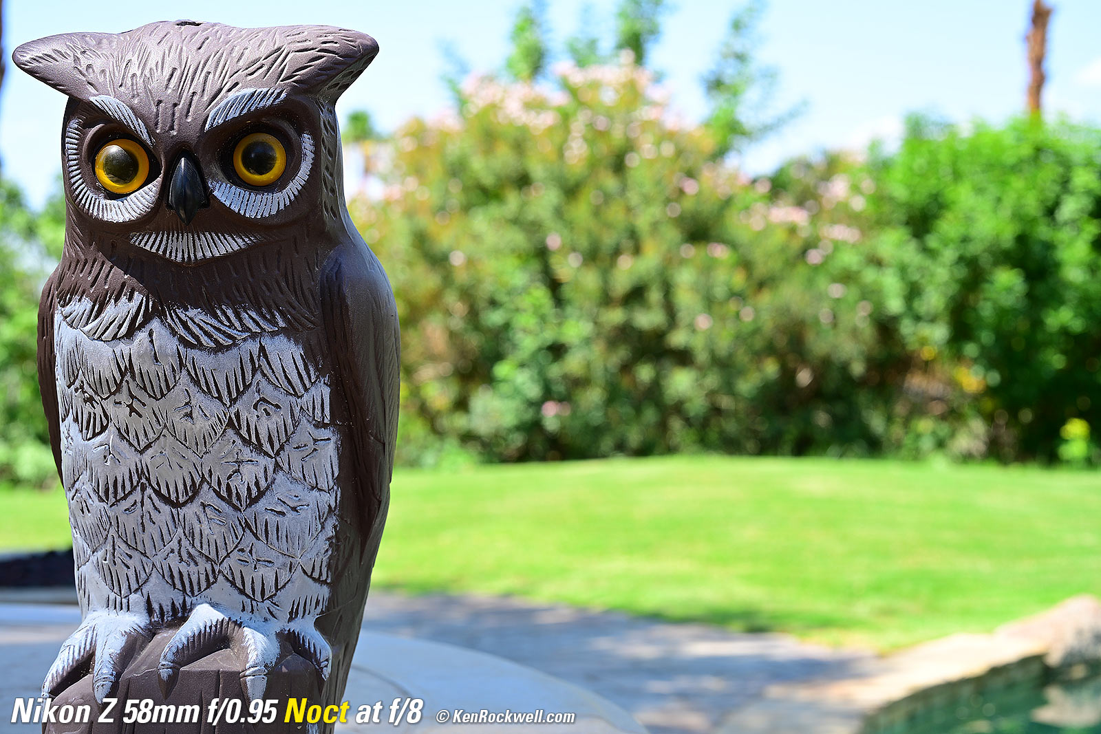 Nikon Z 58mm f/0.95 Noct Bokeh