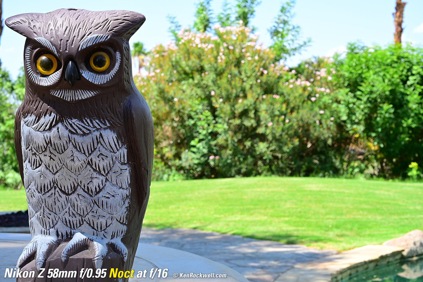 Nikon Z 58mm f/0.95 Noct Bokeh