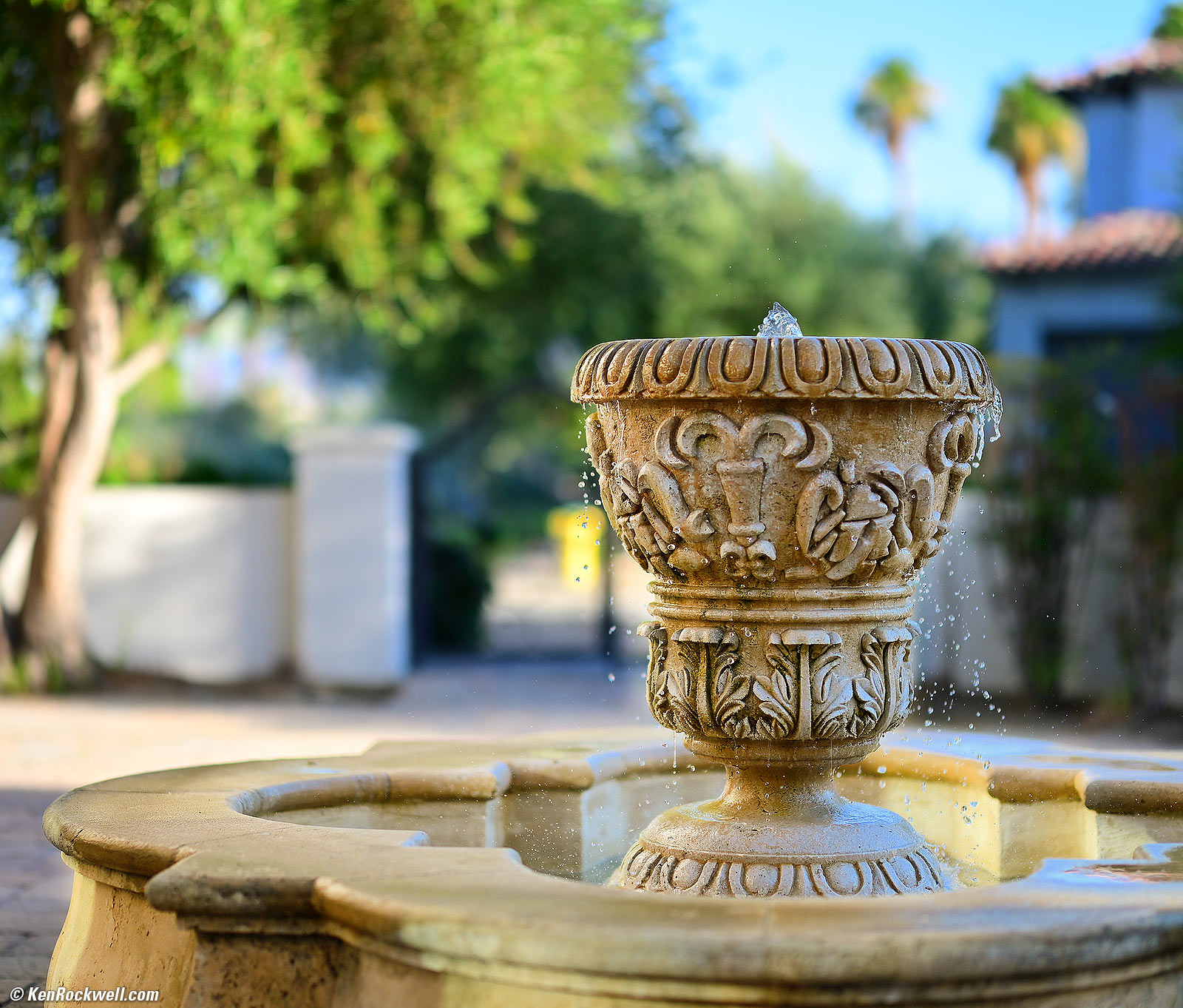 Nikon Z 58mm f/0.95 Noct Sample Image