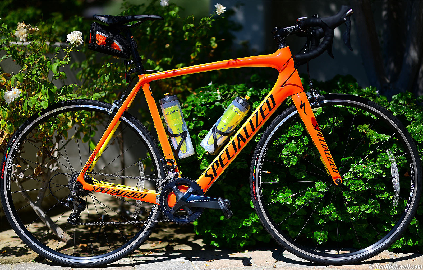 Nikon Z 58mm f/0.95 Noct Sample Image