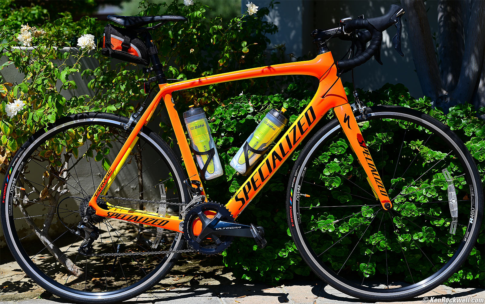 Nikon Z 58mm f/0.95 Noct Sample Image