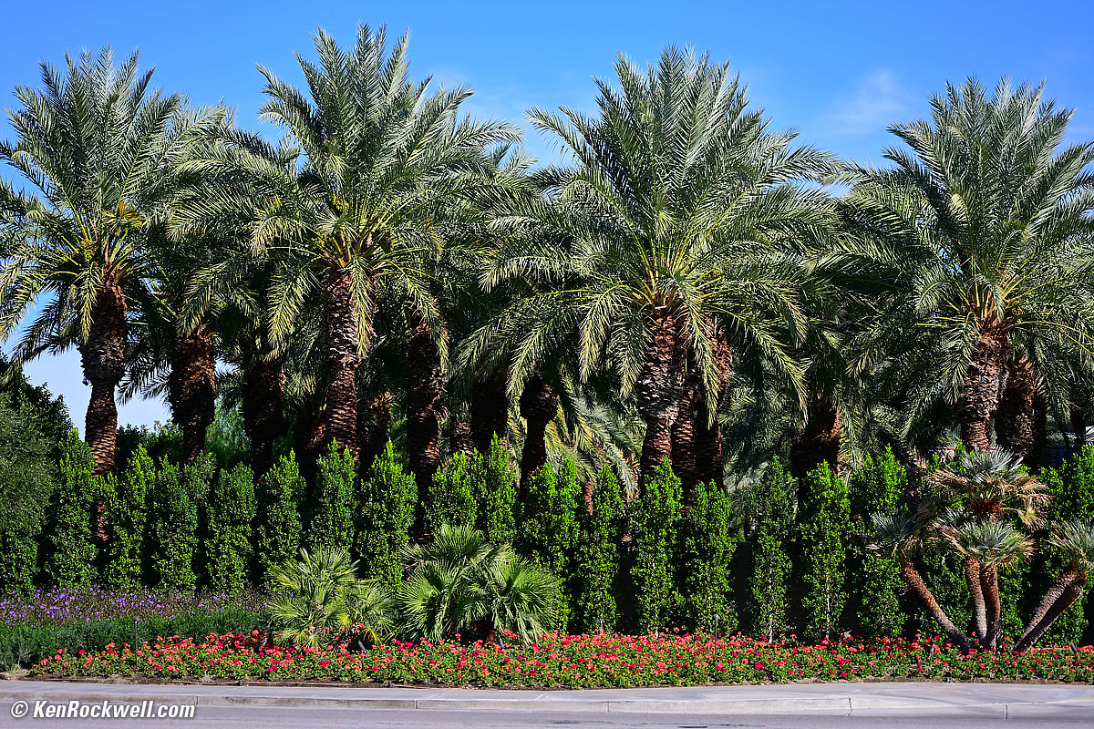 Nikon Z 85mm f/1.8 Sample image file