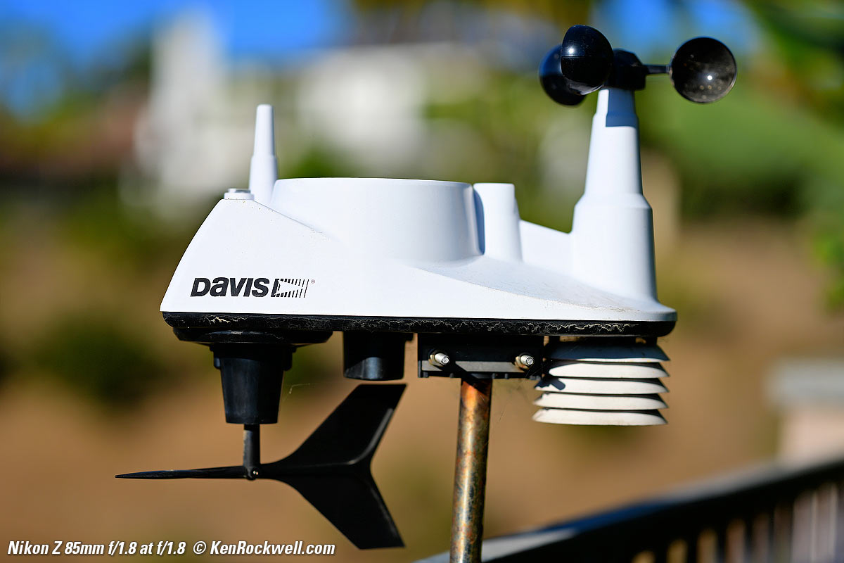 Nikon Z 85mm f/1.8 Bokeh sample image