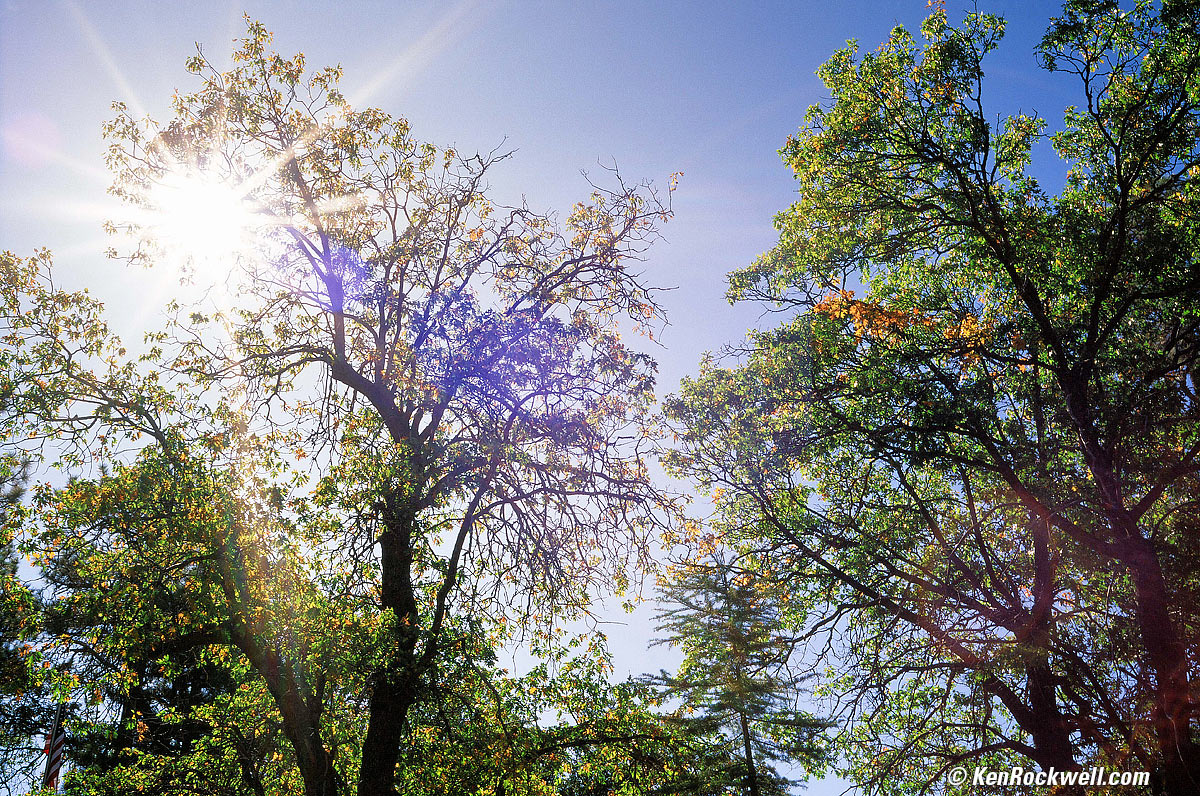 Foster Lodge, 26 September 2009