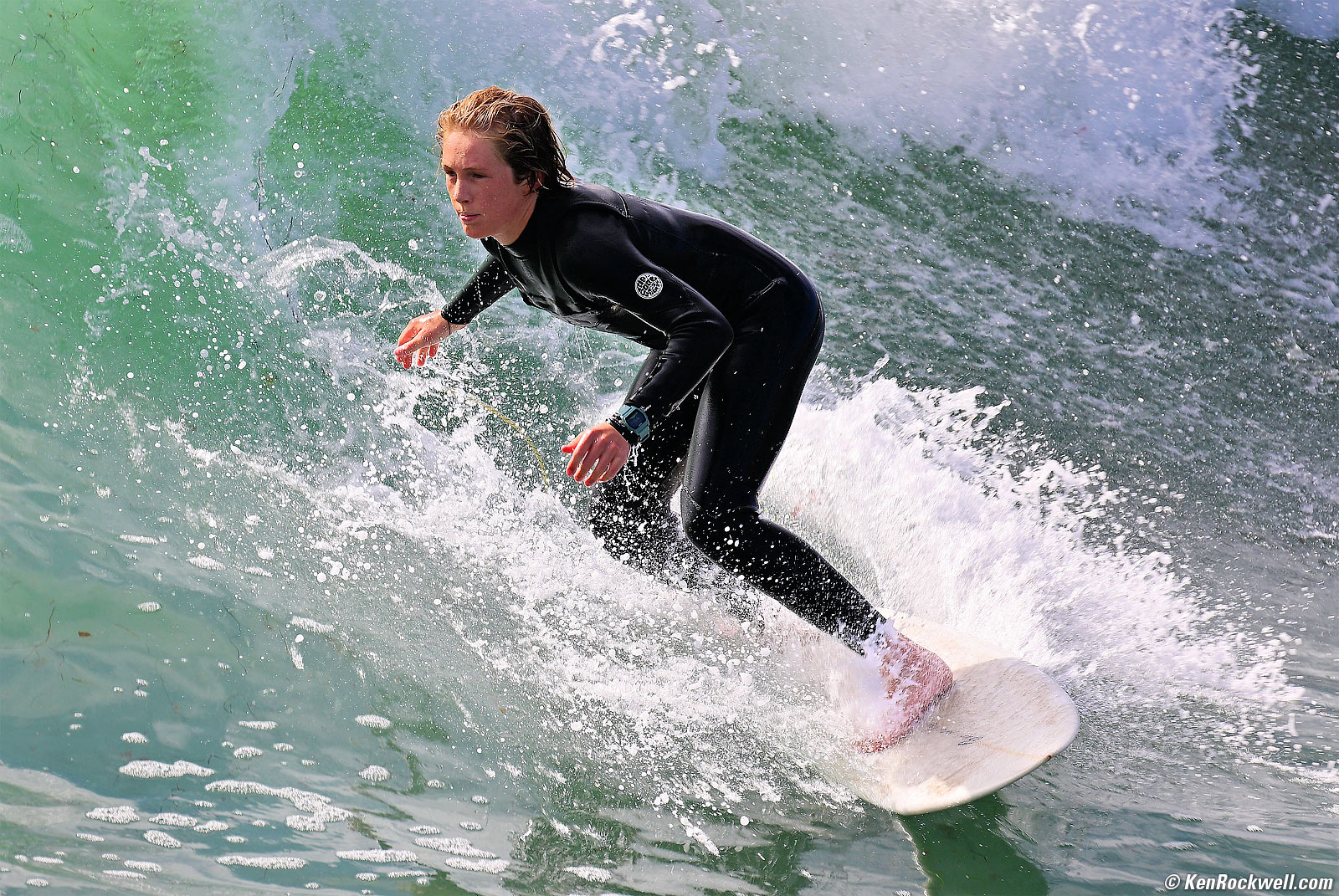 Nikon Z 100-400mm Sample Image File