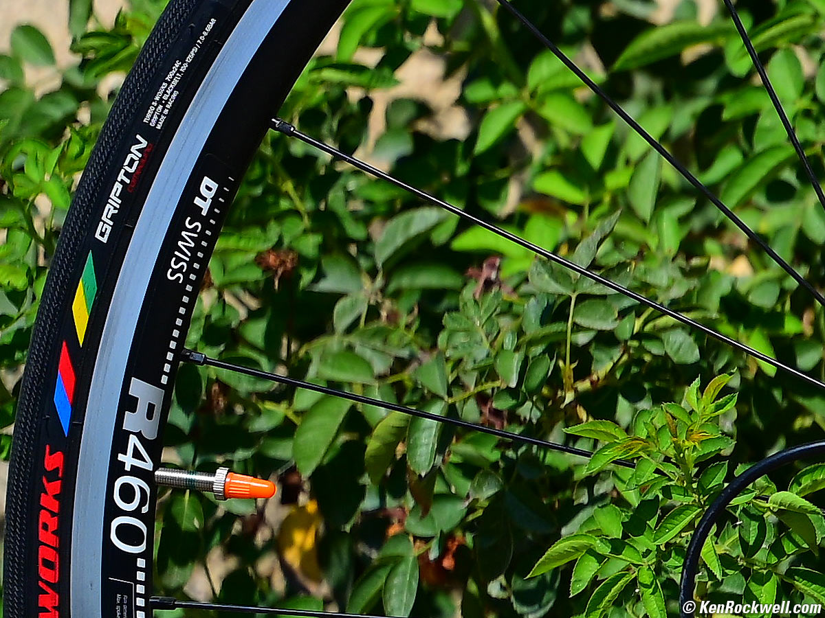 Nikon Z 105mm f/2.8 VR Sample Image File