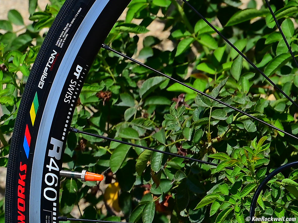 Nikon Z 105mm f/2.8 VR Sample Image File