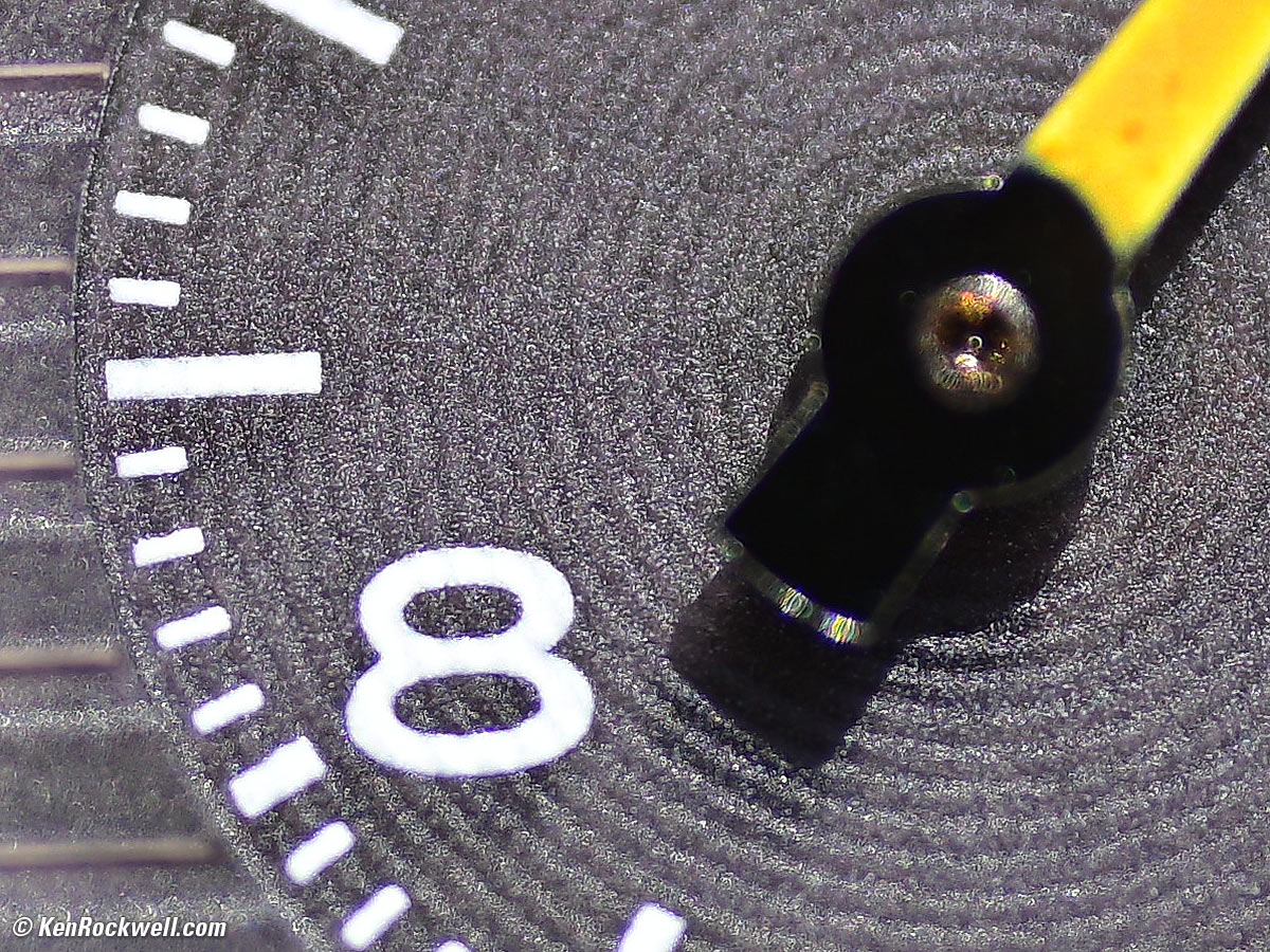 Nikon Z 105mm f/2.8 Macro Performance