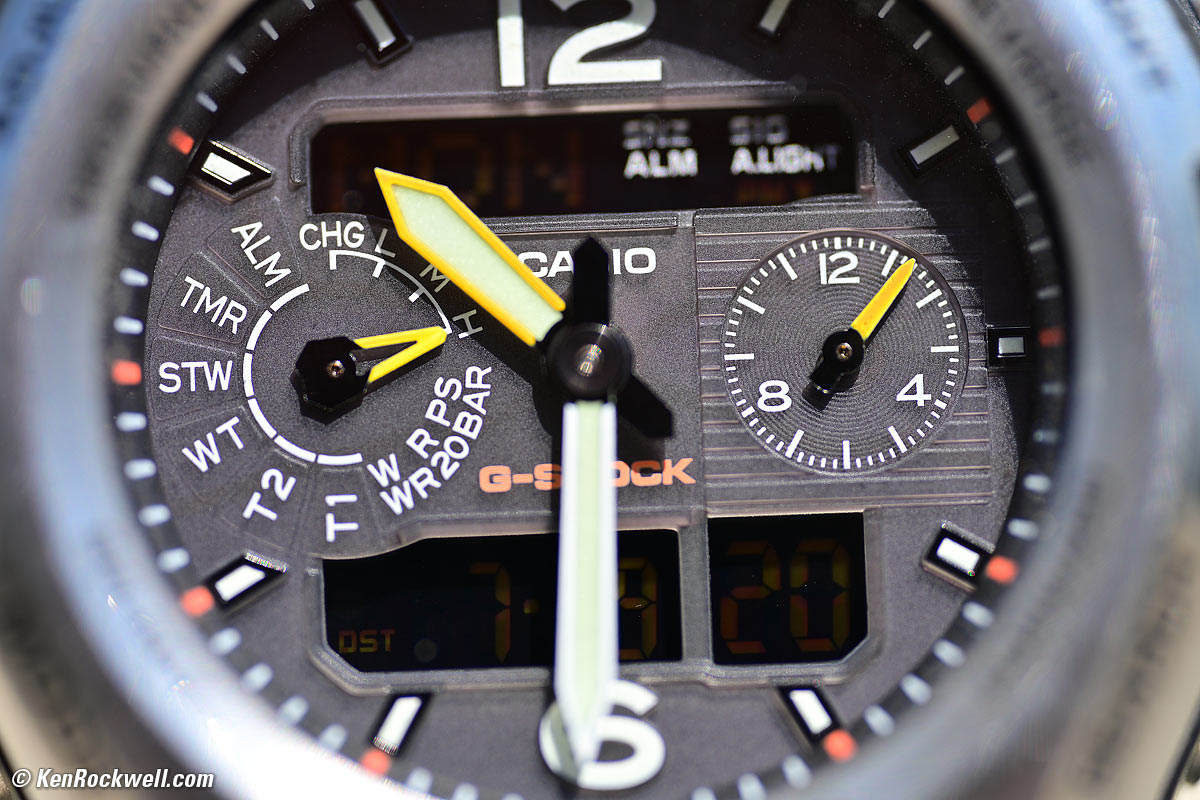 Nikon Z 105mm f/2.8 Macro Performance