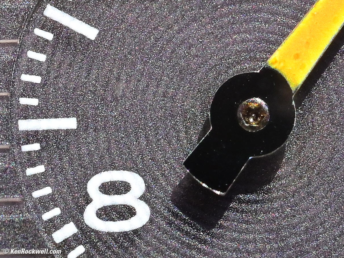 Nikon Z 105mm f/2.8 Macro Performance