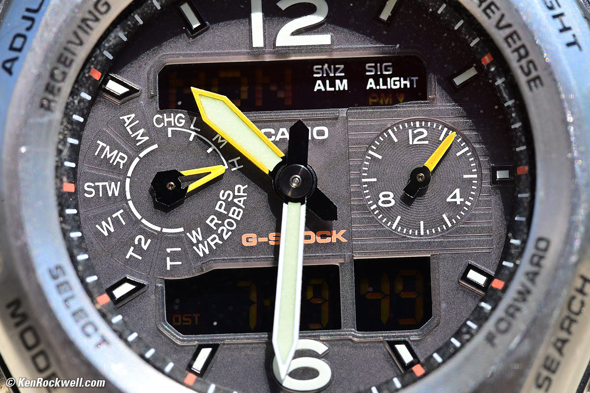 Nikon Z 105mm f/2.8 Macro Performance