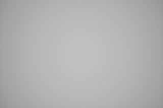 Nikon Z 105mm f/2.8 Macro falloff