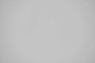 Nikon Z 105mm f/2.8 Macro falloff