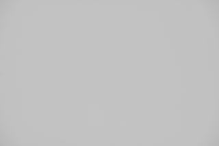 Nikon Z 105mm f/2.8 Macro falloff