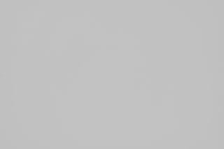 Nikon Z 105mm f/2.8 Macro falloff