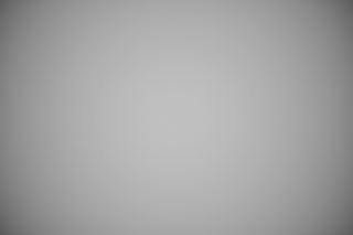 Nikon Z 105mm f/2.8 Macro falloff