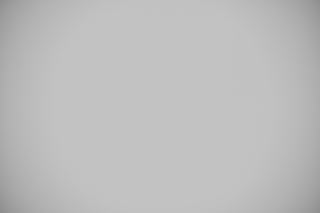 Nikon Z 105mm f/2.8 Macro falloff