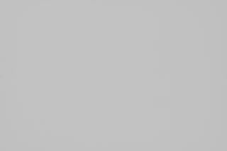 Nikon Z 105mm f/2.8 Macro falloff