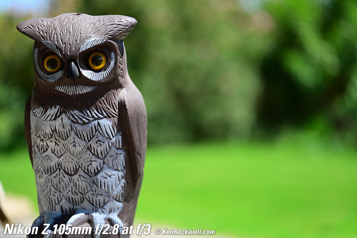 Nikon Z 105mm f/2.8 Bokeh