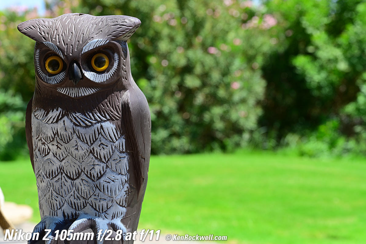 Nikon Z 105mm f/2.8 Bokeh