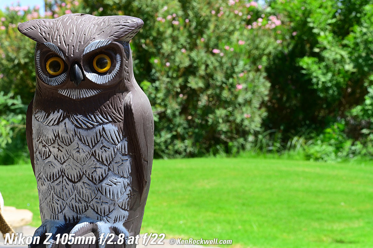 Nikon Z 105mm f/2.8 Bokeh