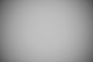 Nikon Z 14-24mm f/2.8 falloff