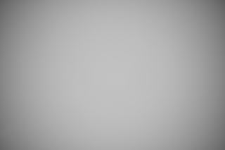 Nikon Z 14-24mm f/2.8 falloff