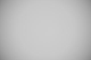 Nikon Z 18-140mm VR DX falloff