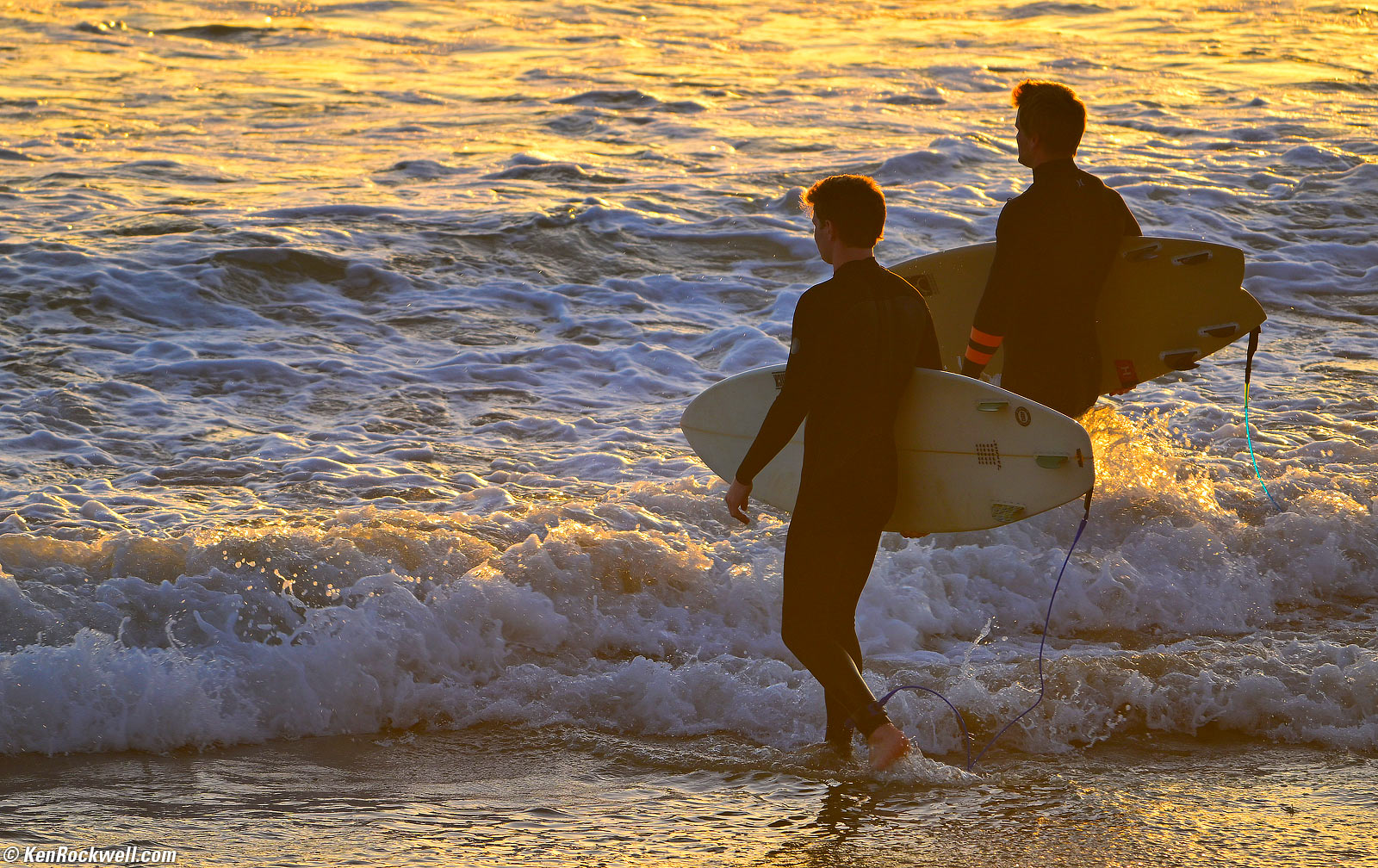 Nikon Z 180-600mm VR Sample Image File